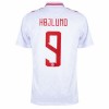 Dánsko Hojlund 9 Domácí ME 2024 - Fotbalové Dresy (S/S)